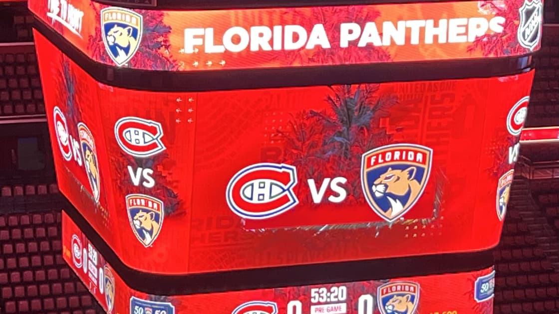 Florida panthers