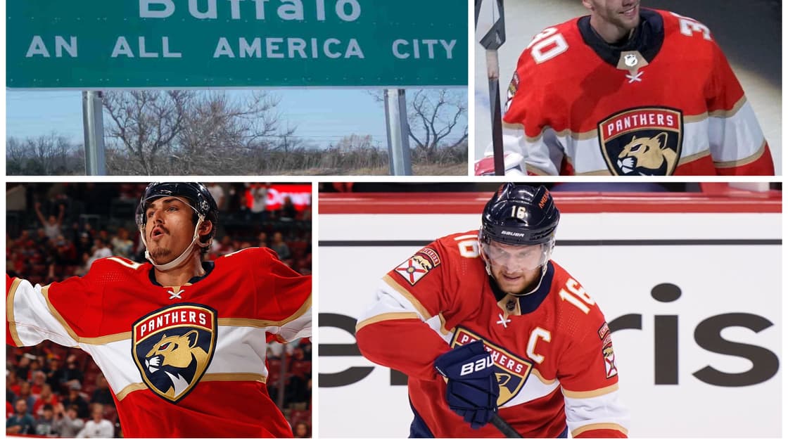 Florida panthers