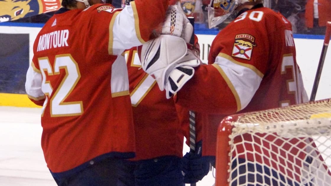 Florida panthers