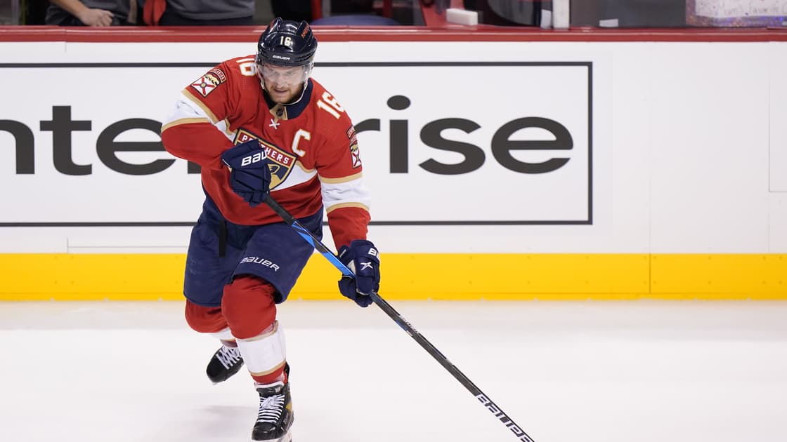 Florida panthers