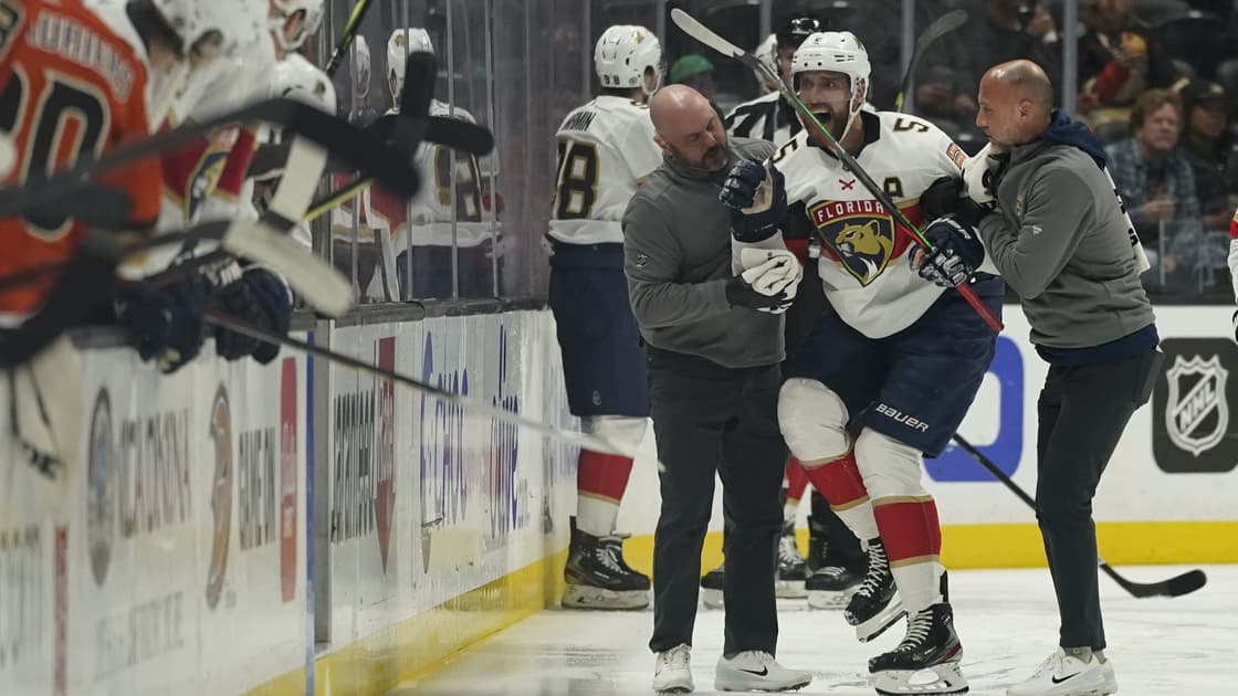 Florida panthers