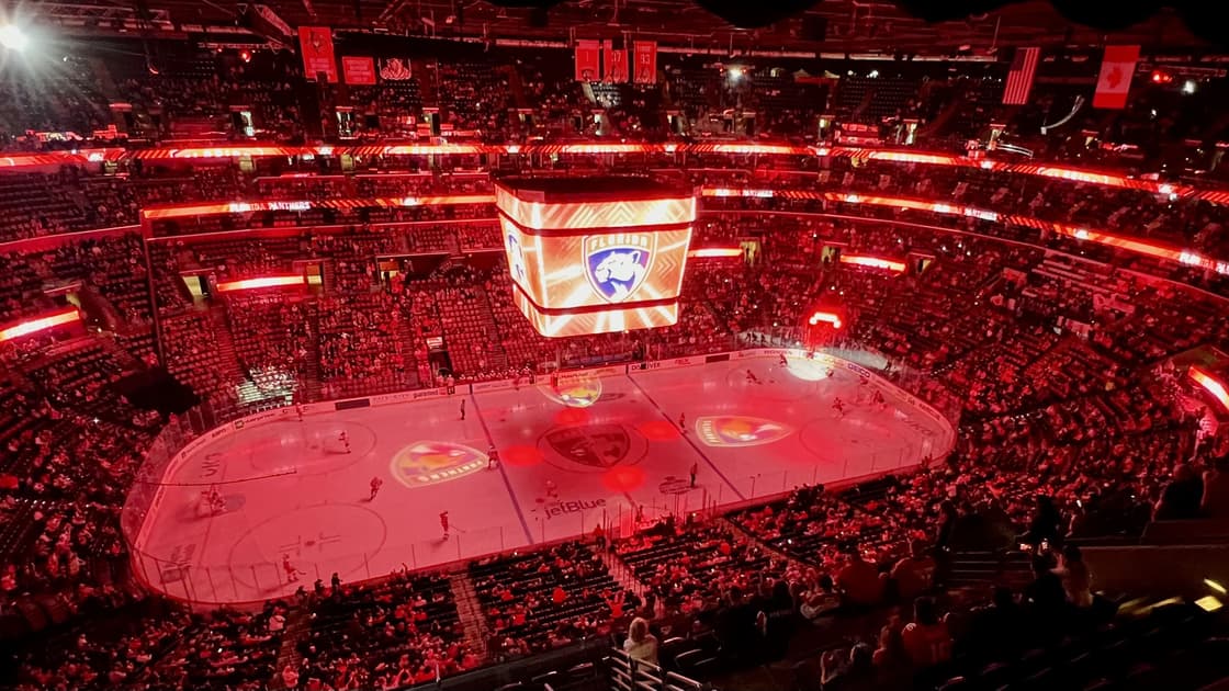 Florida panthers