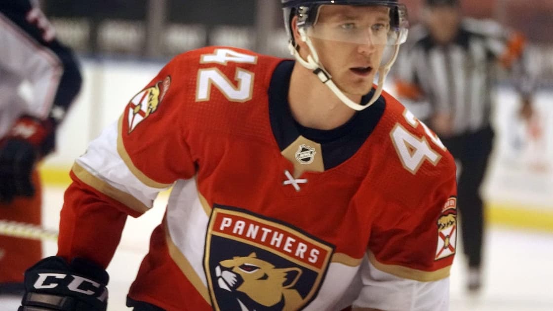 Florida panthers