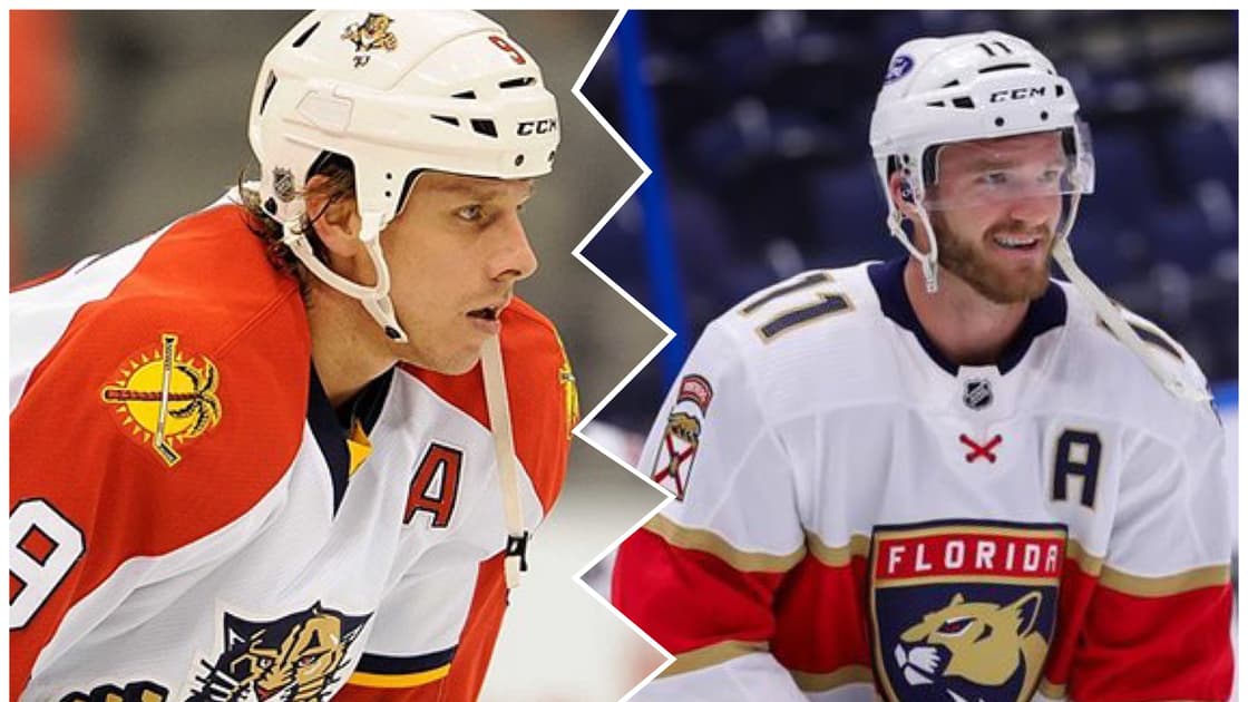 Florida panthers