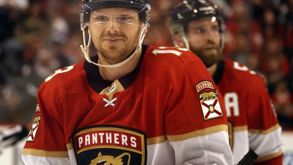Florida panthers