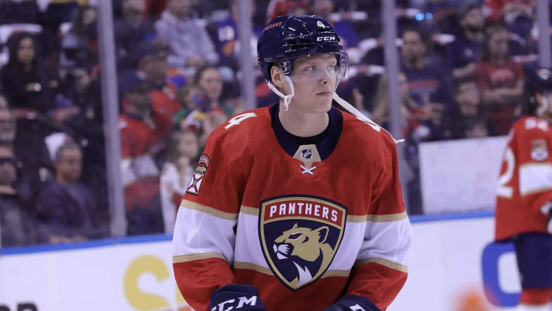 Florida panthers