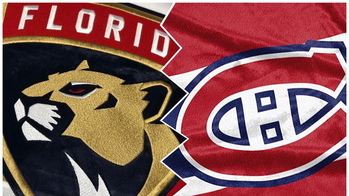 Florida panthers