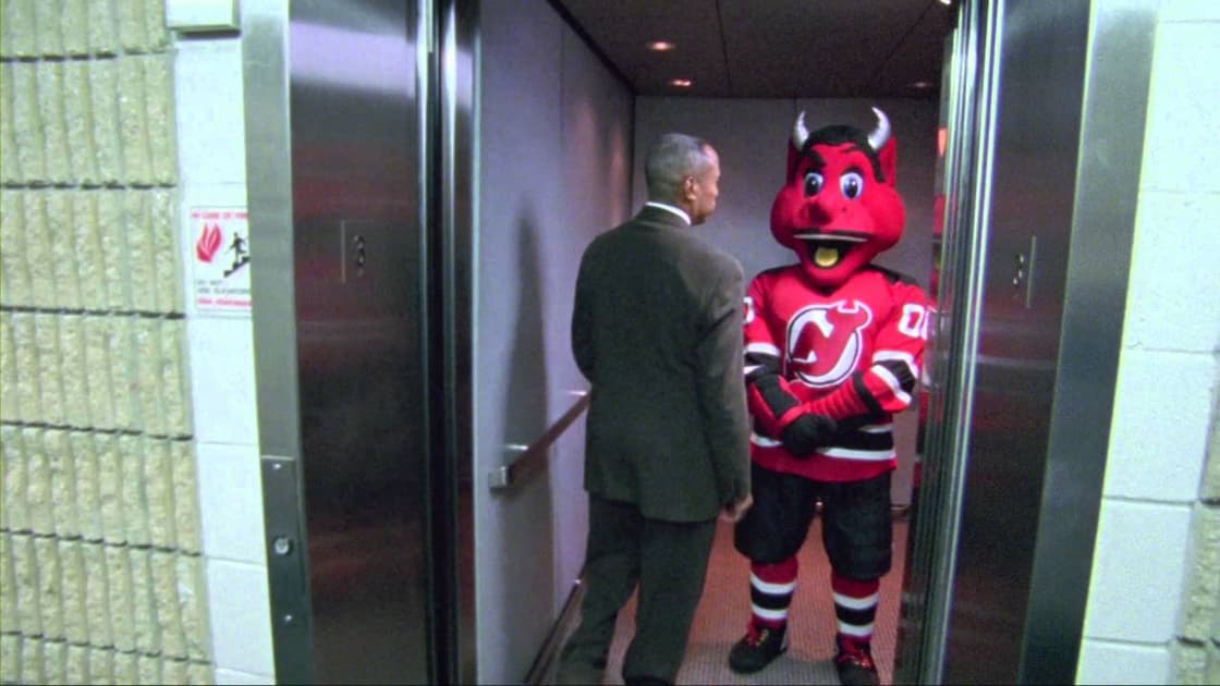 Florida panthers