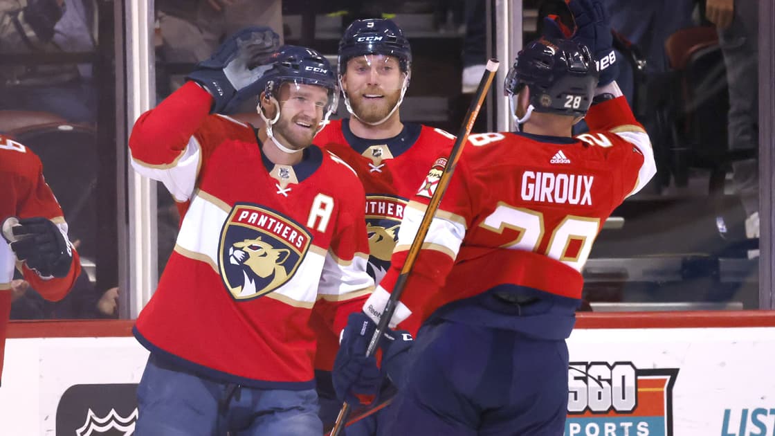 Florida panthers