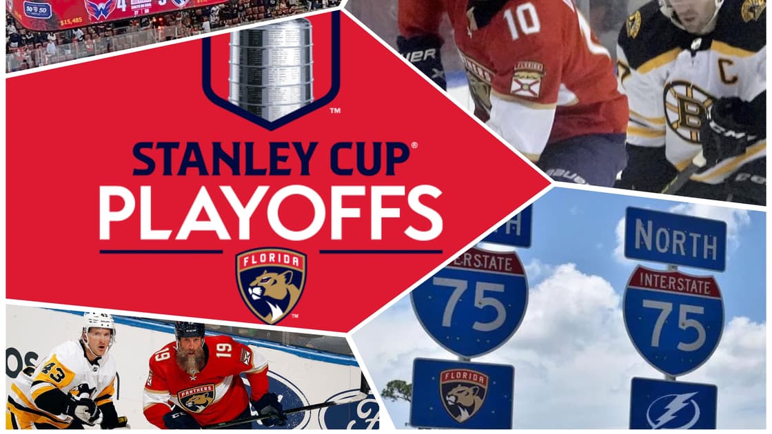 Florida panthers