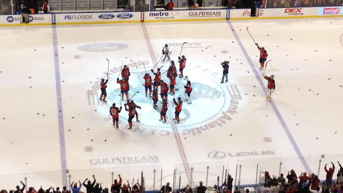 Florida panthers