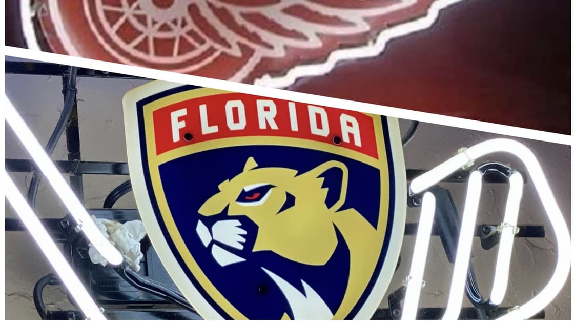 Florida panthers
