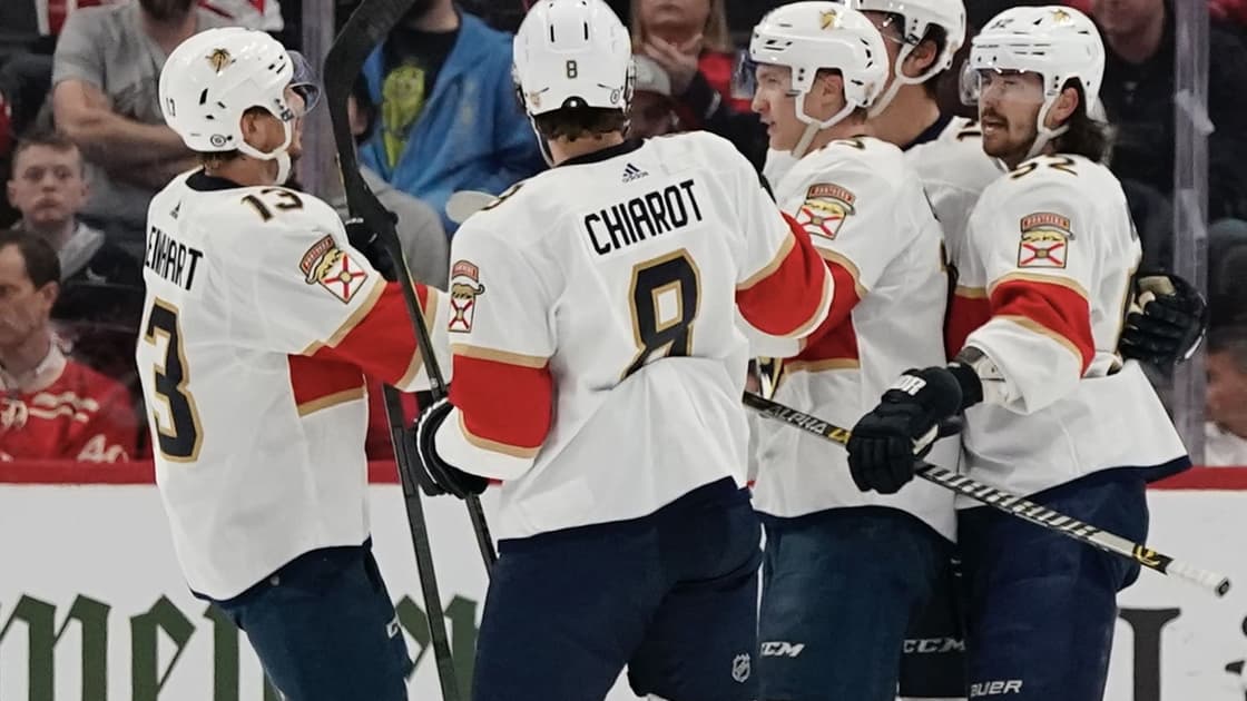 Florida panthers