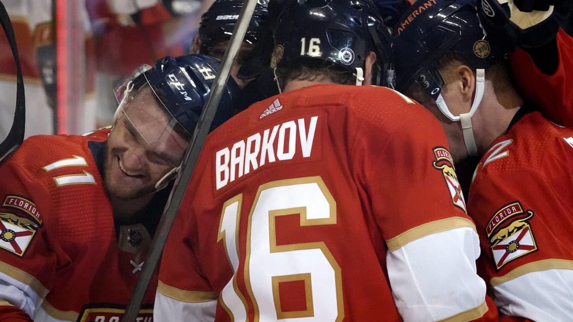 Florida panthers