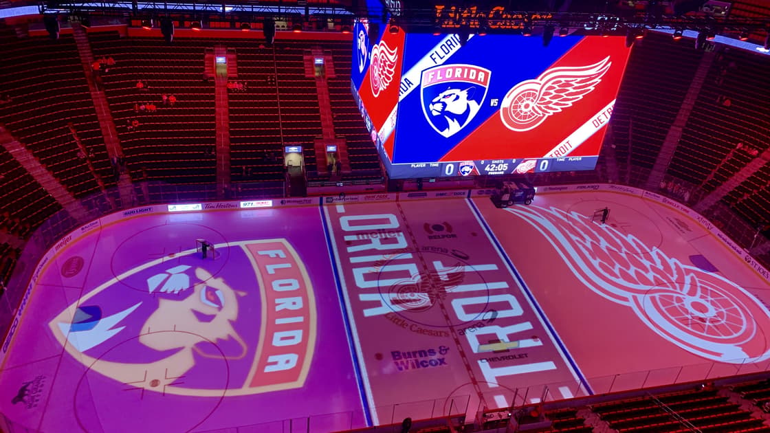 Florida panthers