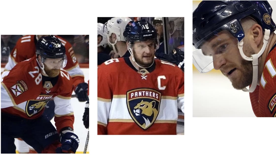 Florida panthers