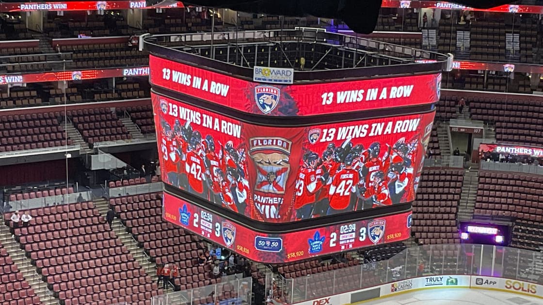 Florida panthers