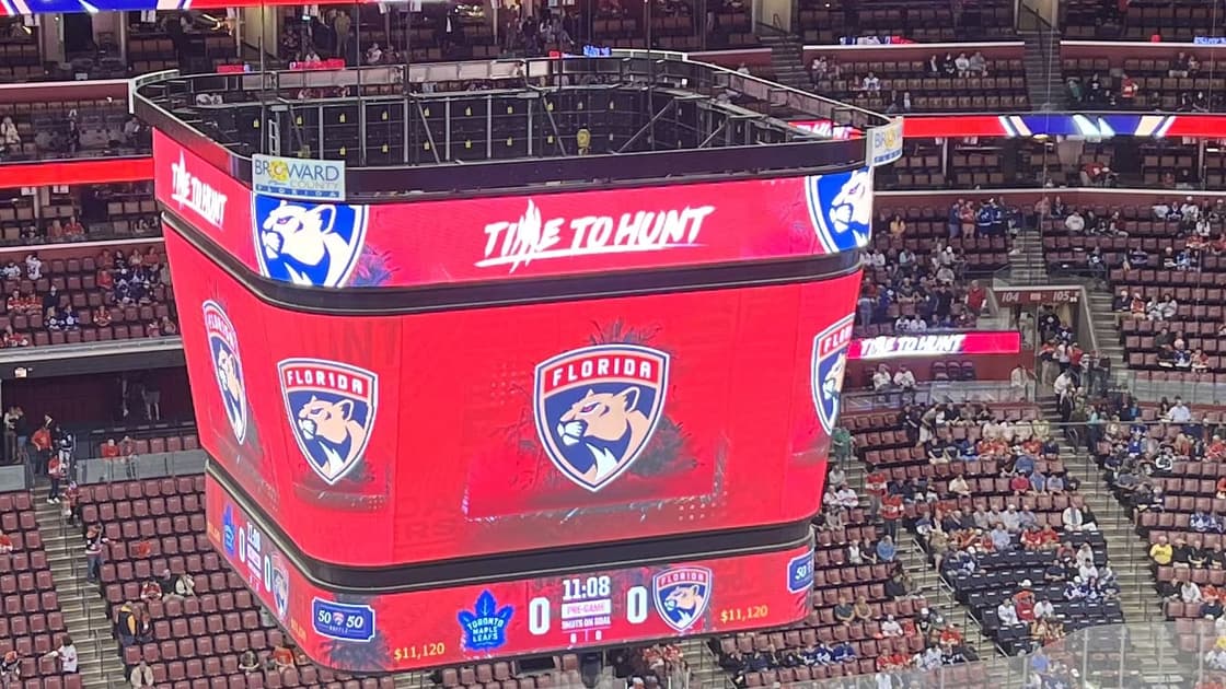 Florida panthers