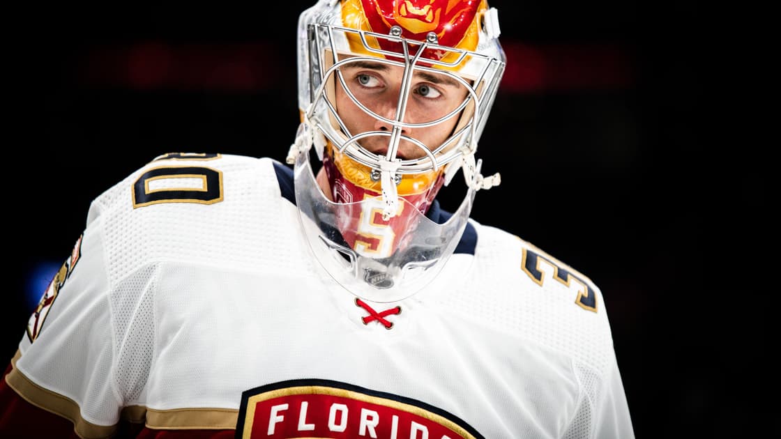 Florida panthers
