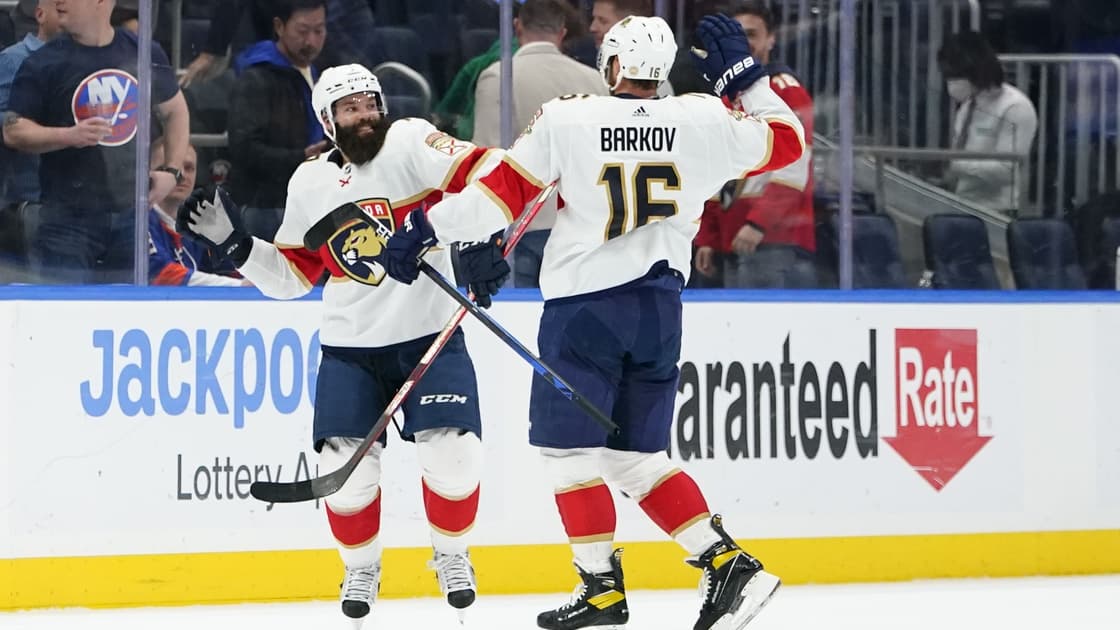 Barkov gudas