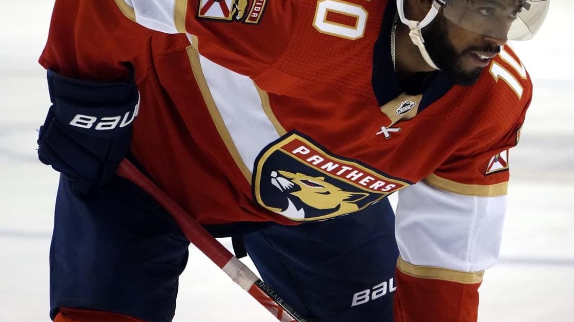 Anthony duclair