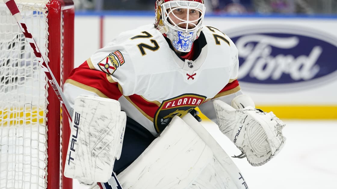 Florida panthers
