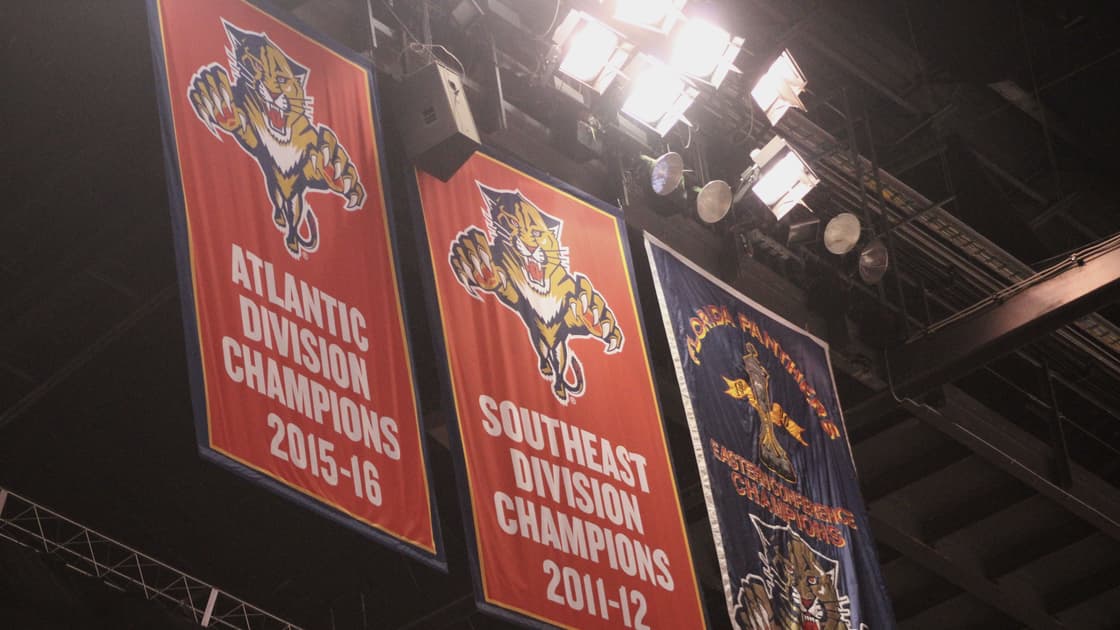 Florida panthers