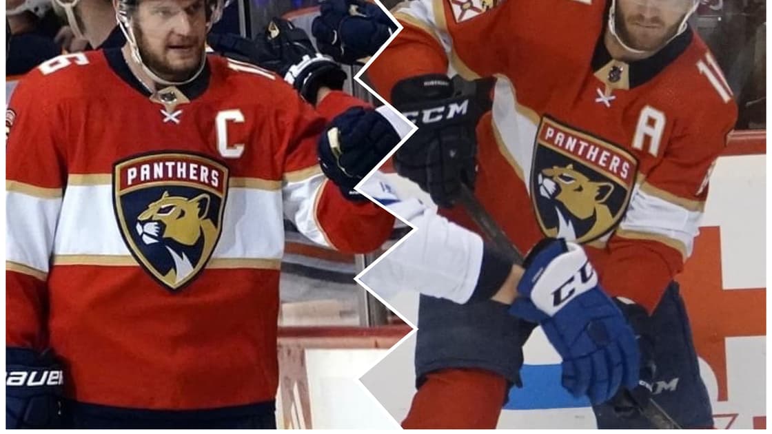 Florida panthers