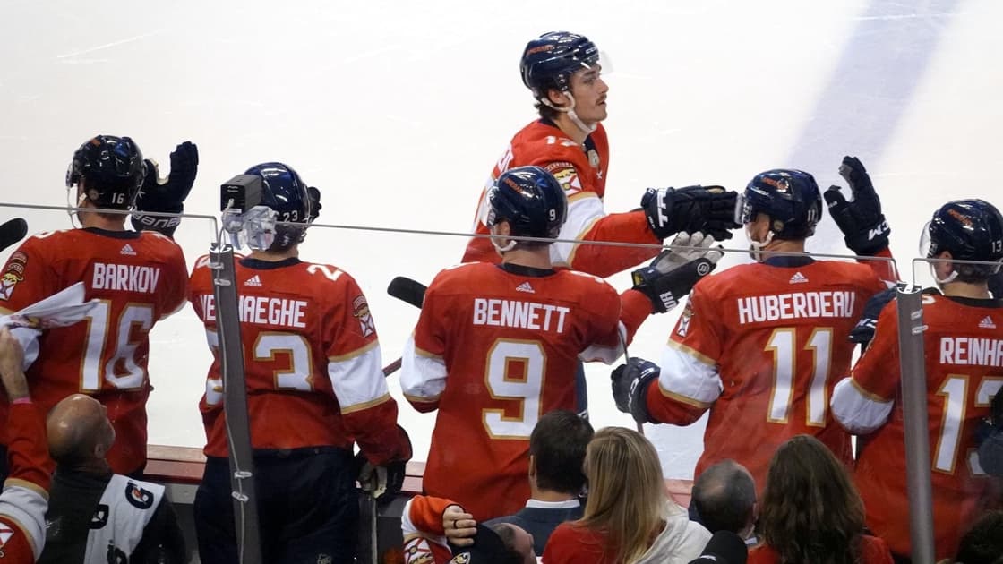 Florida panthers