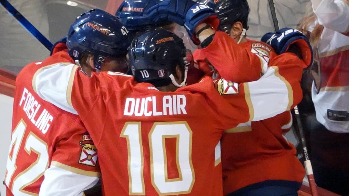 Florida panthers