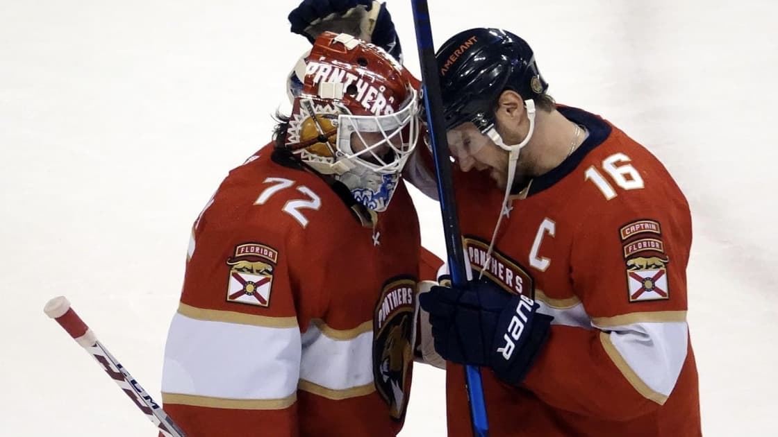 Florida panthers