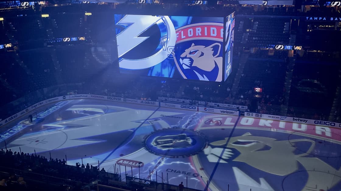 Florida panthers