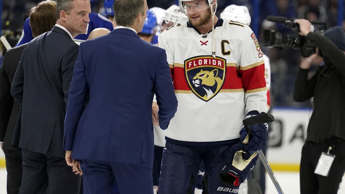 Florida panthers