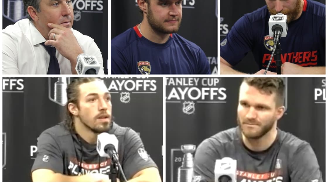 Florida panthers