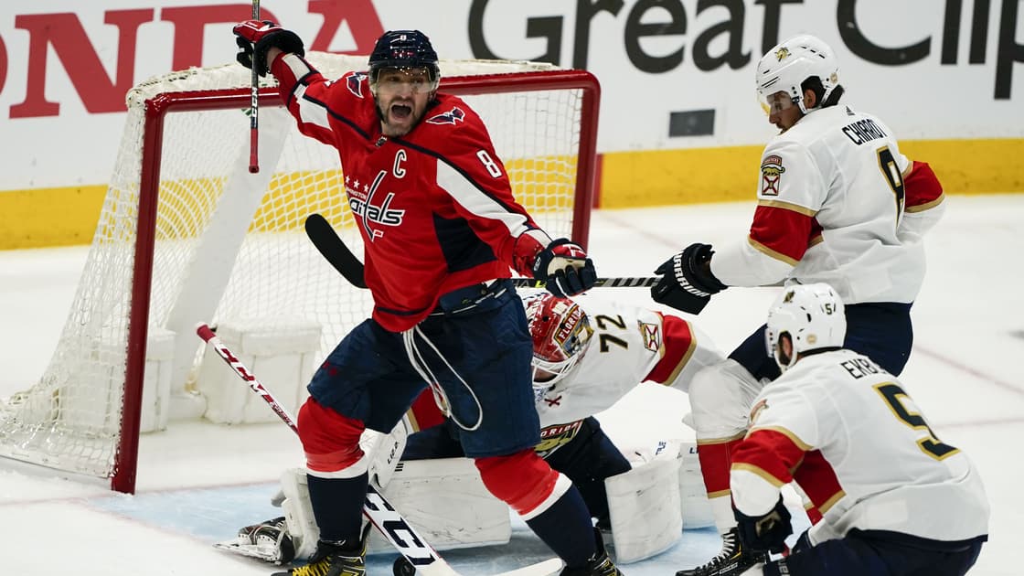 Florida panthers