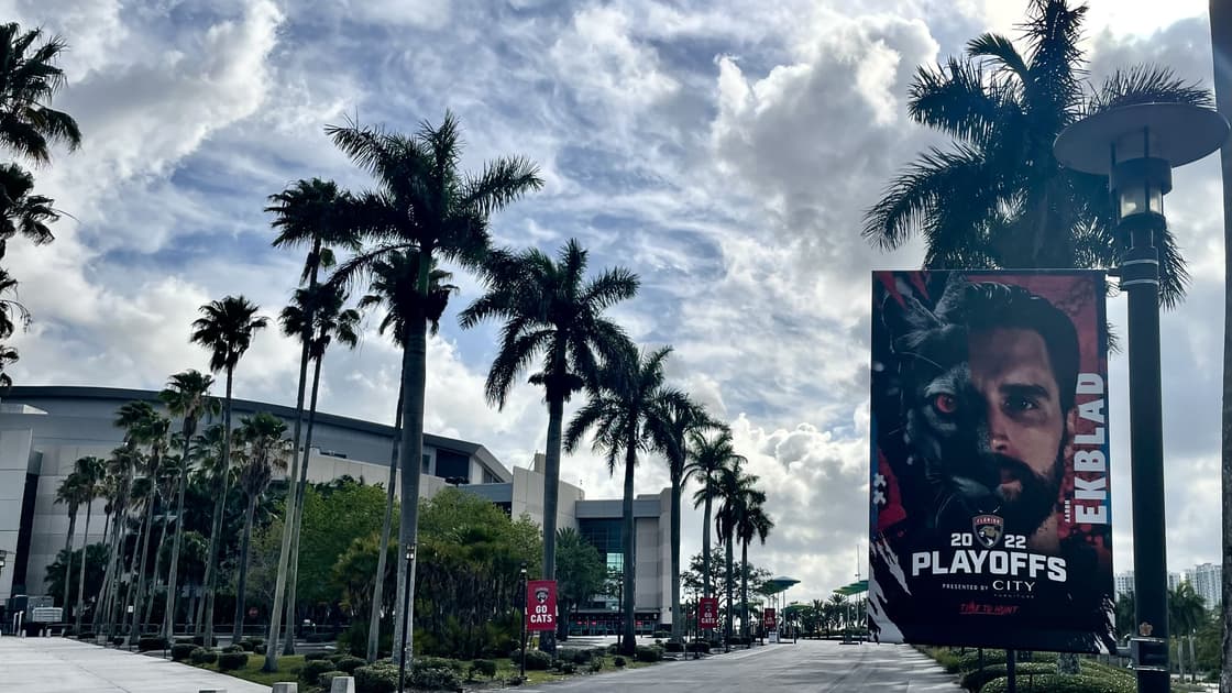 Florida panthers