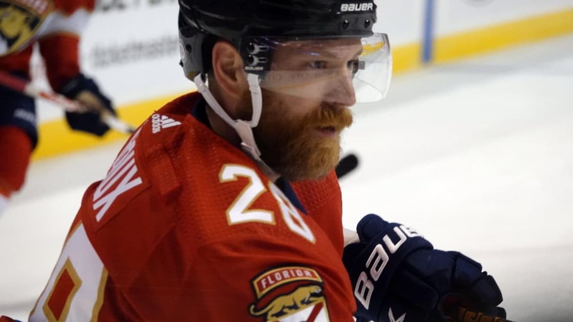 Florida panthers