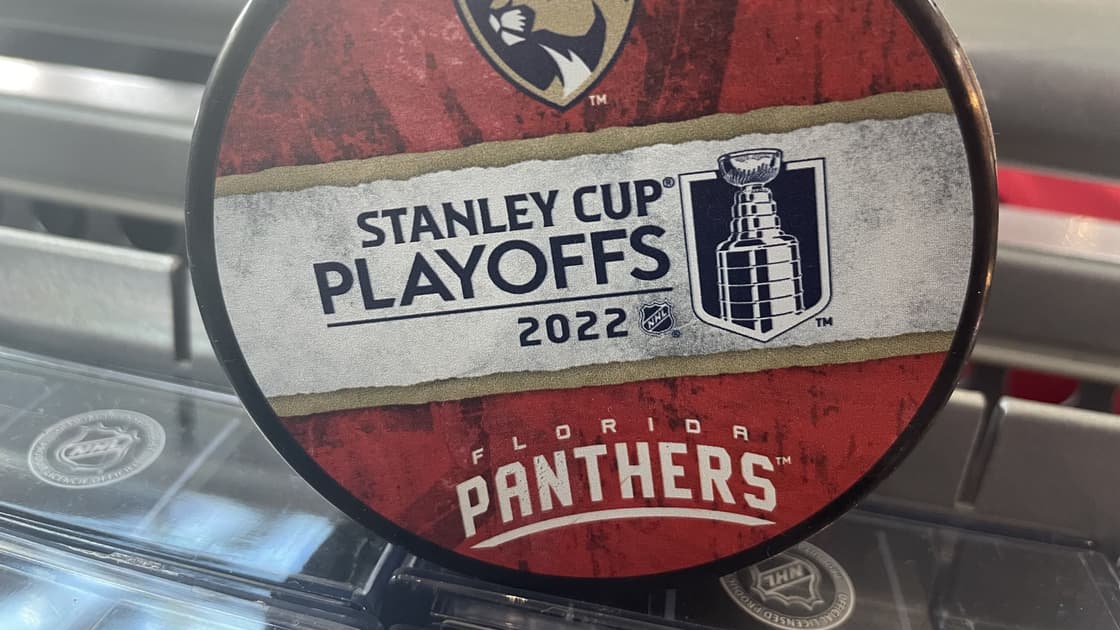 Florida panthers