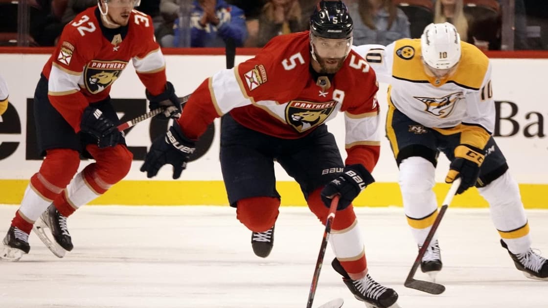 Florida panthers