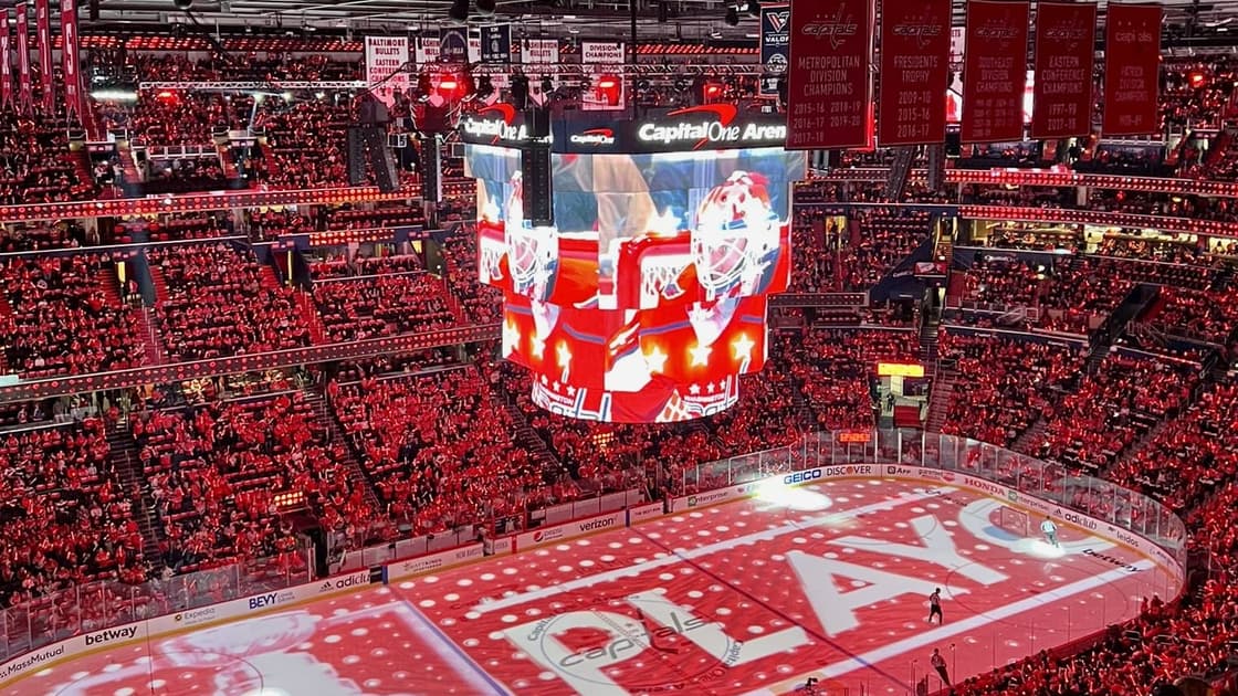 Florida panthers
