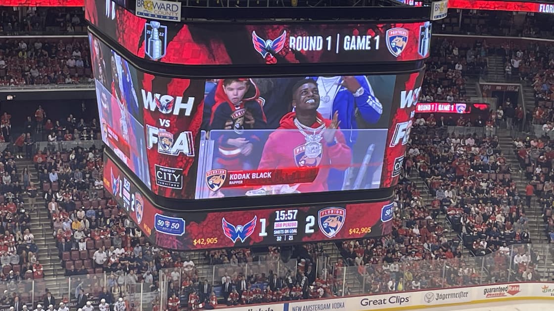 Florida panthers