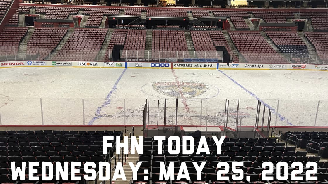 Florida panthers