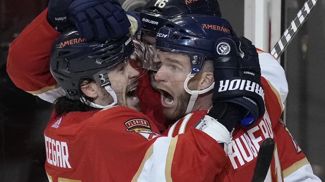 Florida panthers