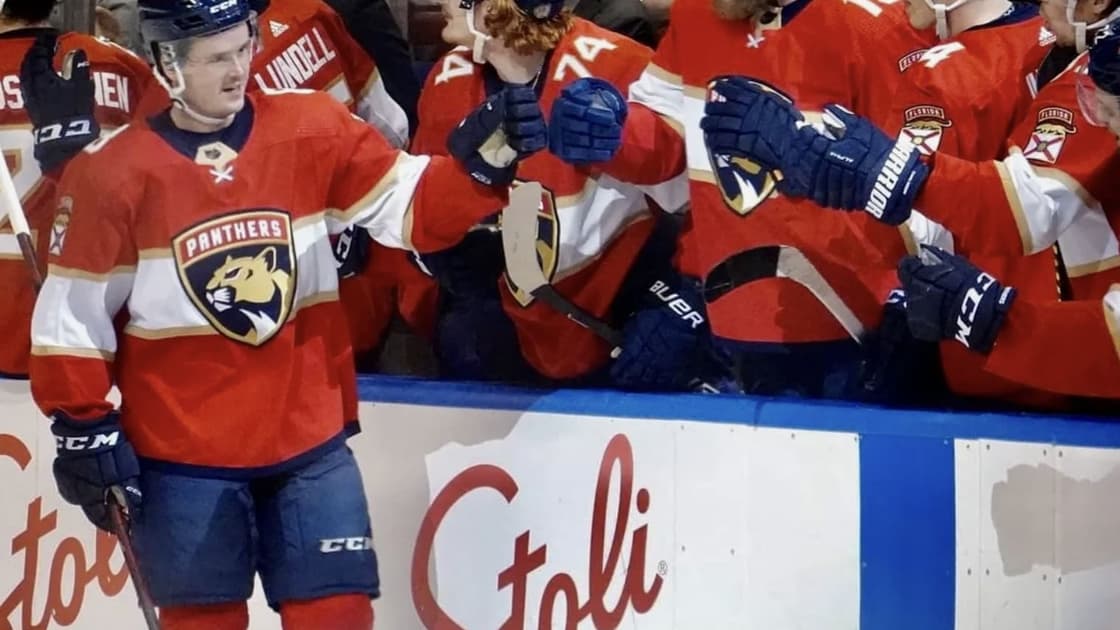 Florida panthers