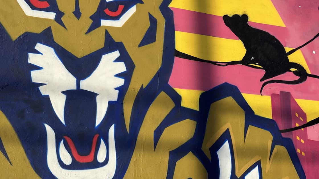 Florida panthers