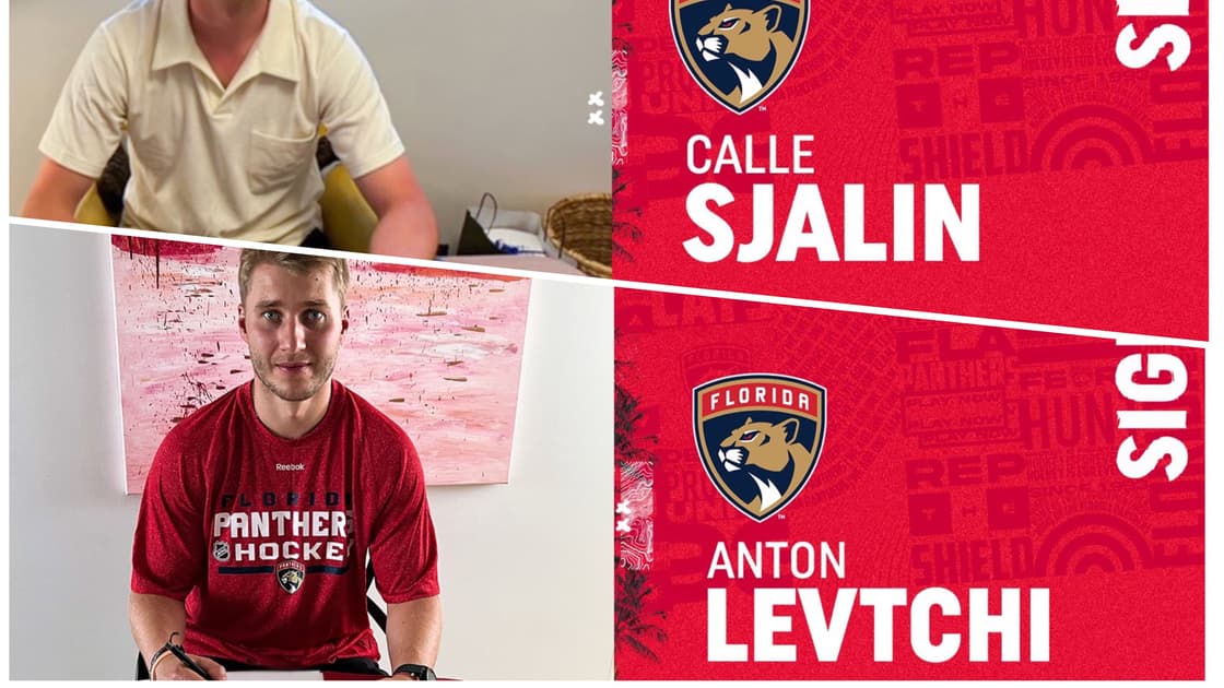 Florida panthers