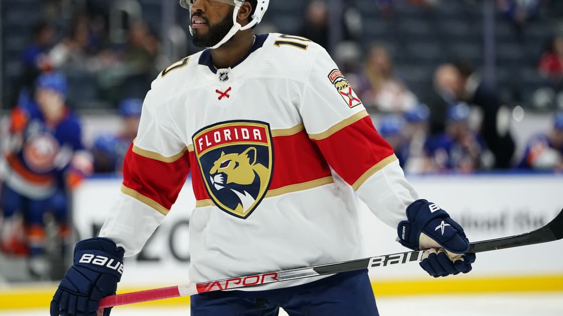 Florida Panthers Duclair