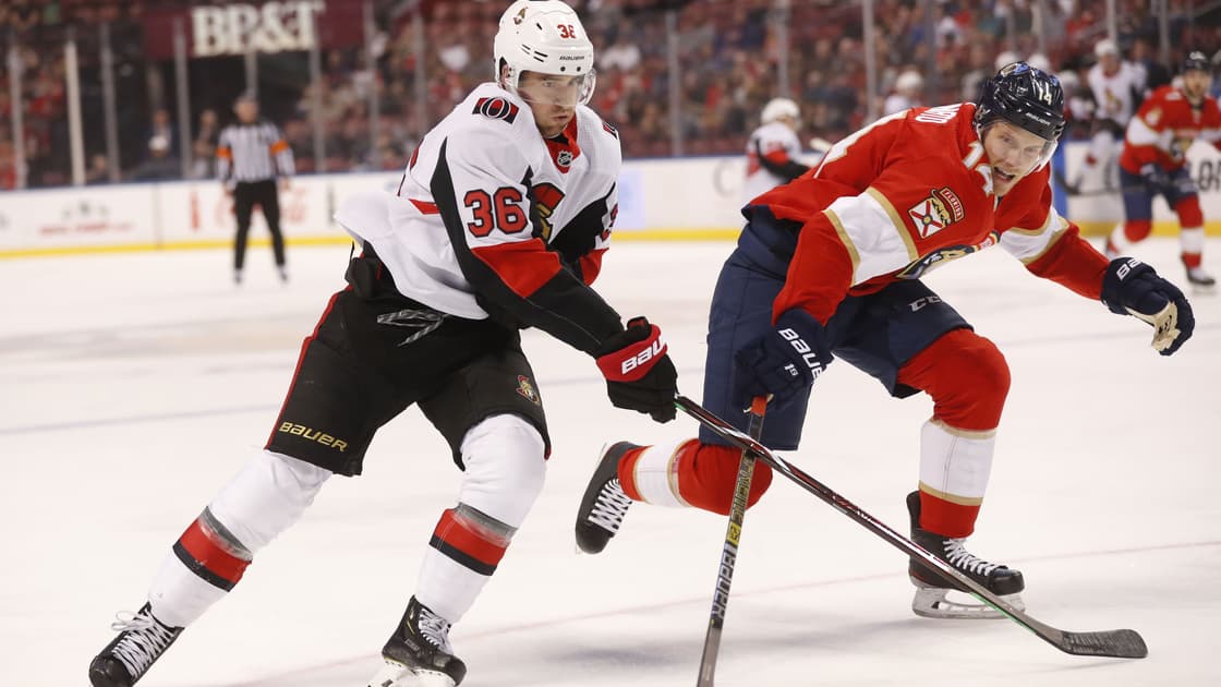Florida panthers