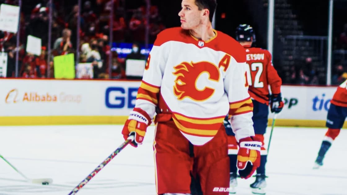 Florida panthers