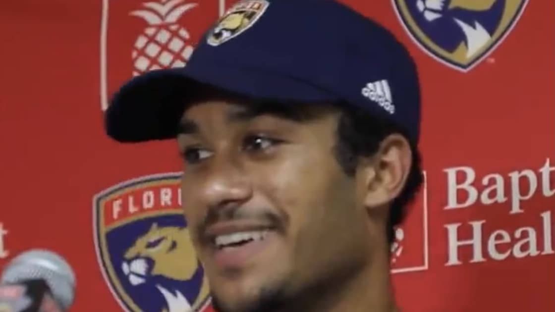 Florida panthers